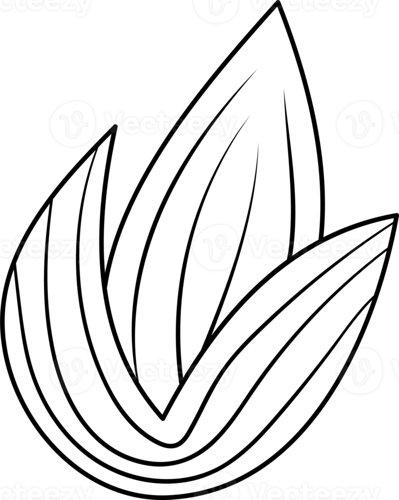 Stylized Rice Leaf Graphic Illustration for Coloring Page png