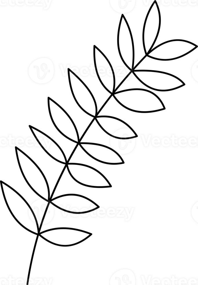 Stylized White Leaf Pattern Graphic for Coloring Page png