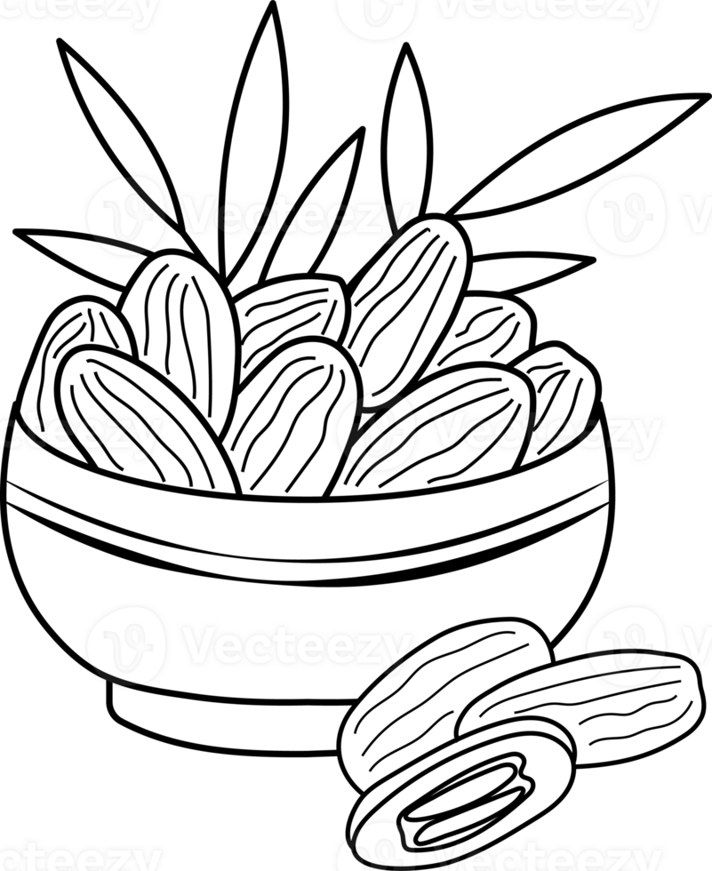 Illustration of Bowl of Dates for Coloring Page png