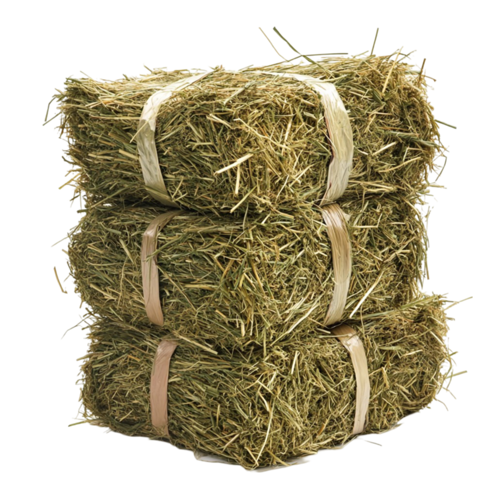 bales of hay stacked on top of each other transparent background. png