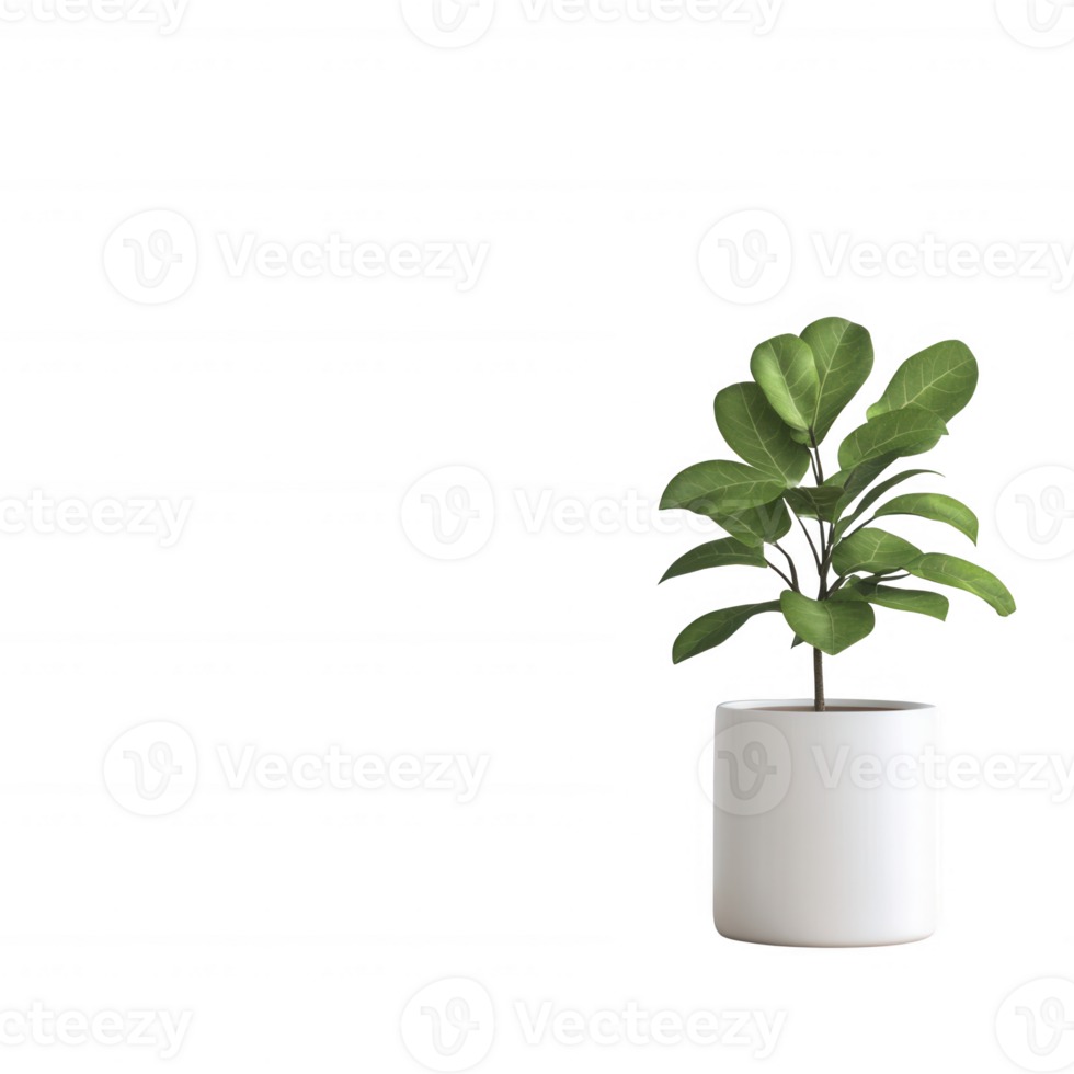A vibrant green plant in a sleek white pot, perfect for modern indoor decor. png