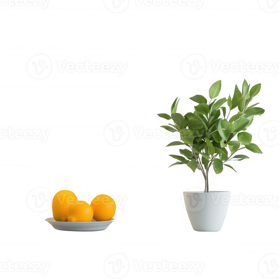 A vibrant green plant next to a bowl of fresh, ripe oranges on a clean white background. png
