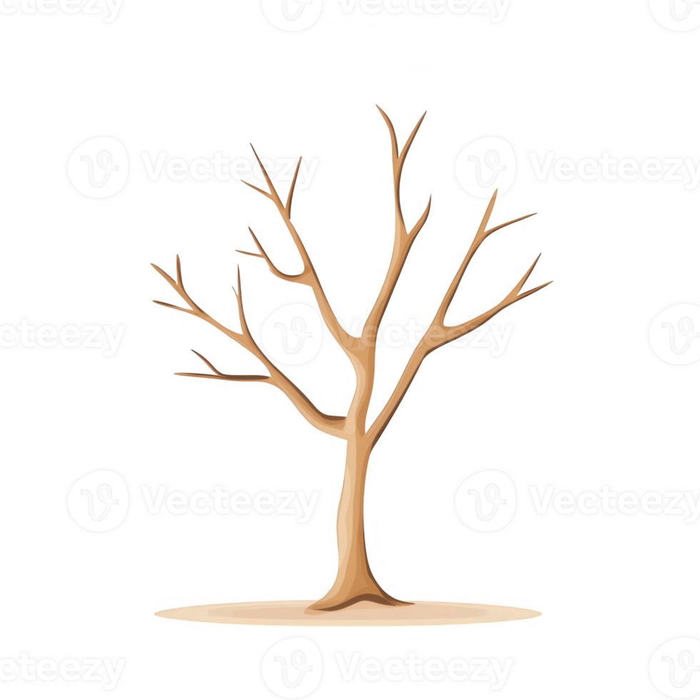 A stylized illustration of a bare tree with detailed branches and a simple base. png