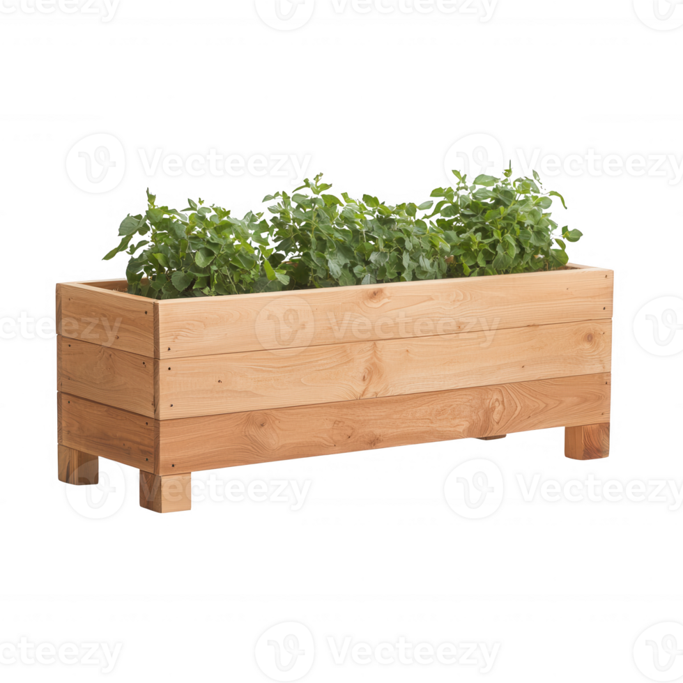 Wooden planter box filled with vibrant green herbs ready for gardening enthusiasm. png
