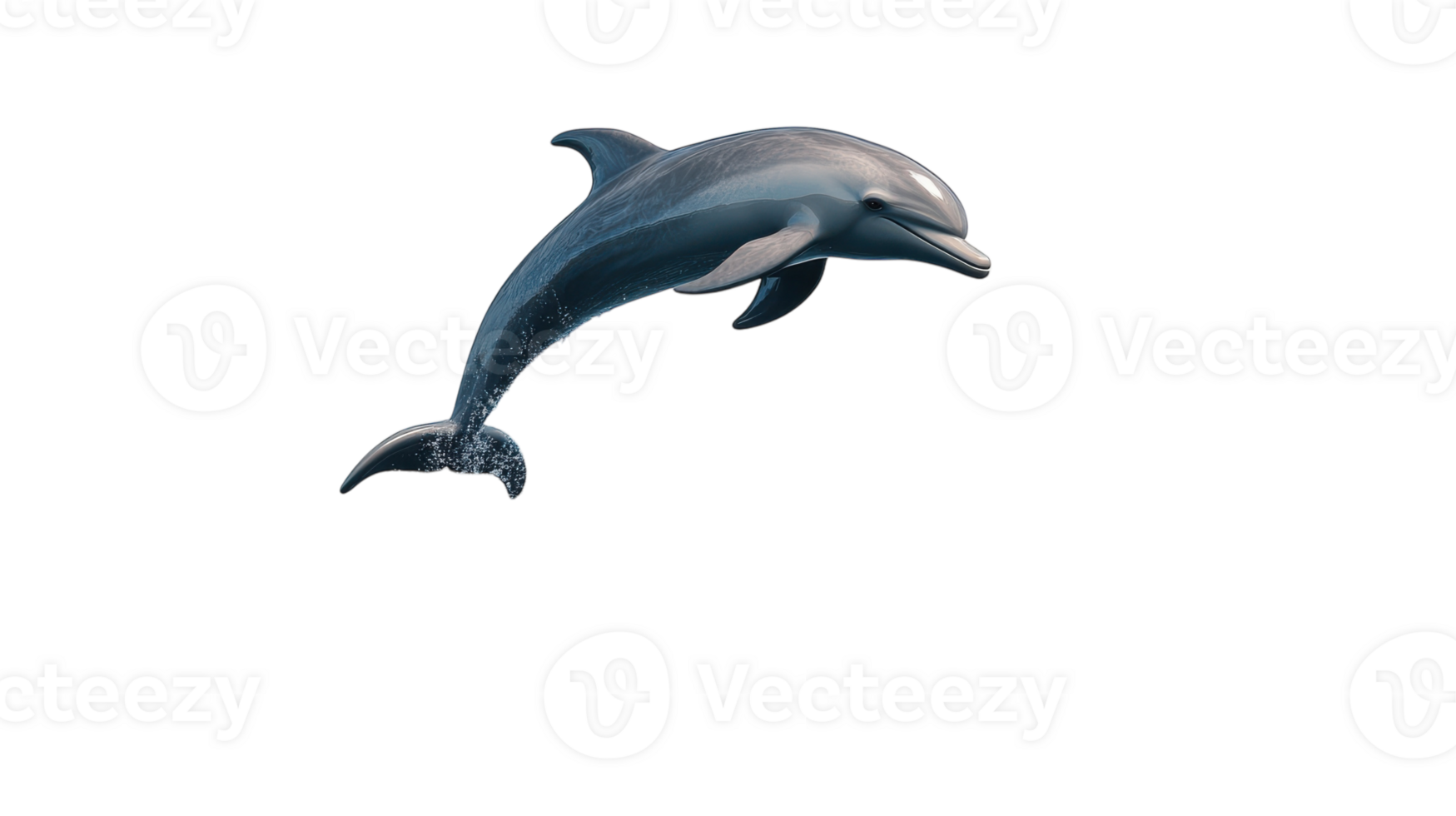 A Playful Dolphin Jumping Out of the Ocean Captivating the Beauty of Marine Life and Joyful Moments in Nature. png
