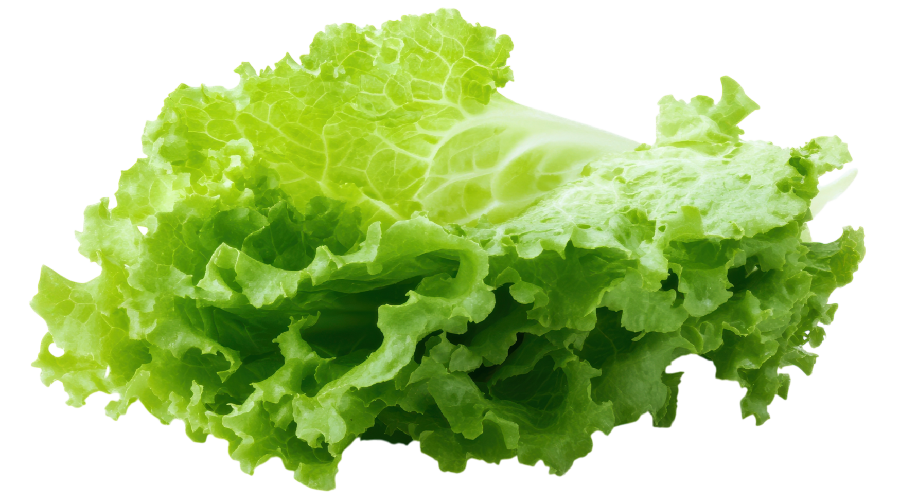 Fresh and Crisp Iceberg Lettuce Leaf Isolated on White Background Ideal for Healthy Meal Planning and Salad Preparation. png