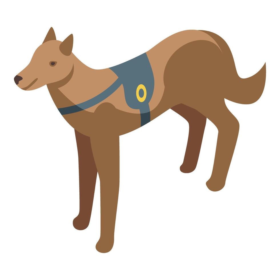 Brown working dog wearing a harness standing isometric view vector