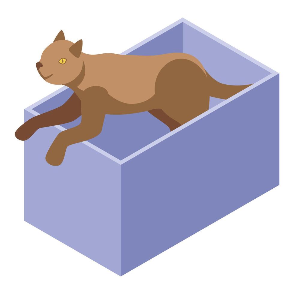 Brown cat getting out of purple box, playful pet exploring its surroundings vector