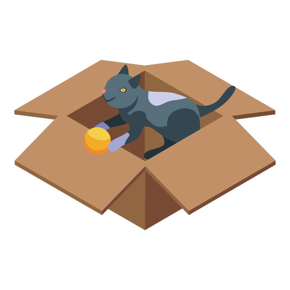 Playful cat enjoying cardboard box and ball vector