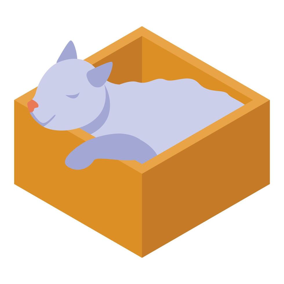 Cute kitten sleeping peacefully in cardboard box vector