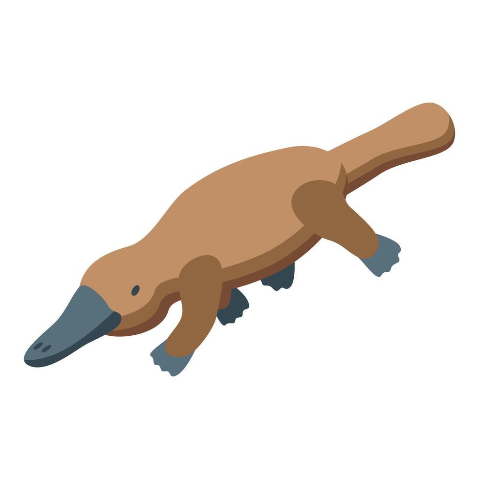 Platypus swimming in isometric view showing its unique features vector