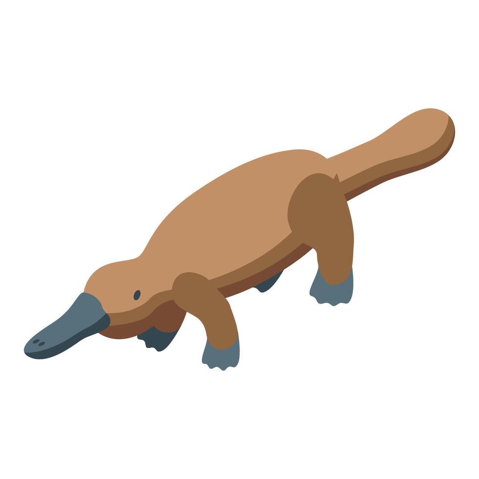 Platypus swimming in isometric view showing its duck like bill and beaver like tail vector