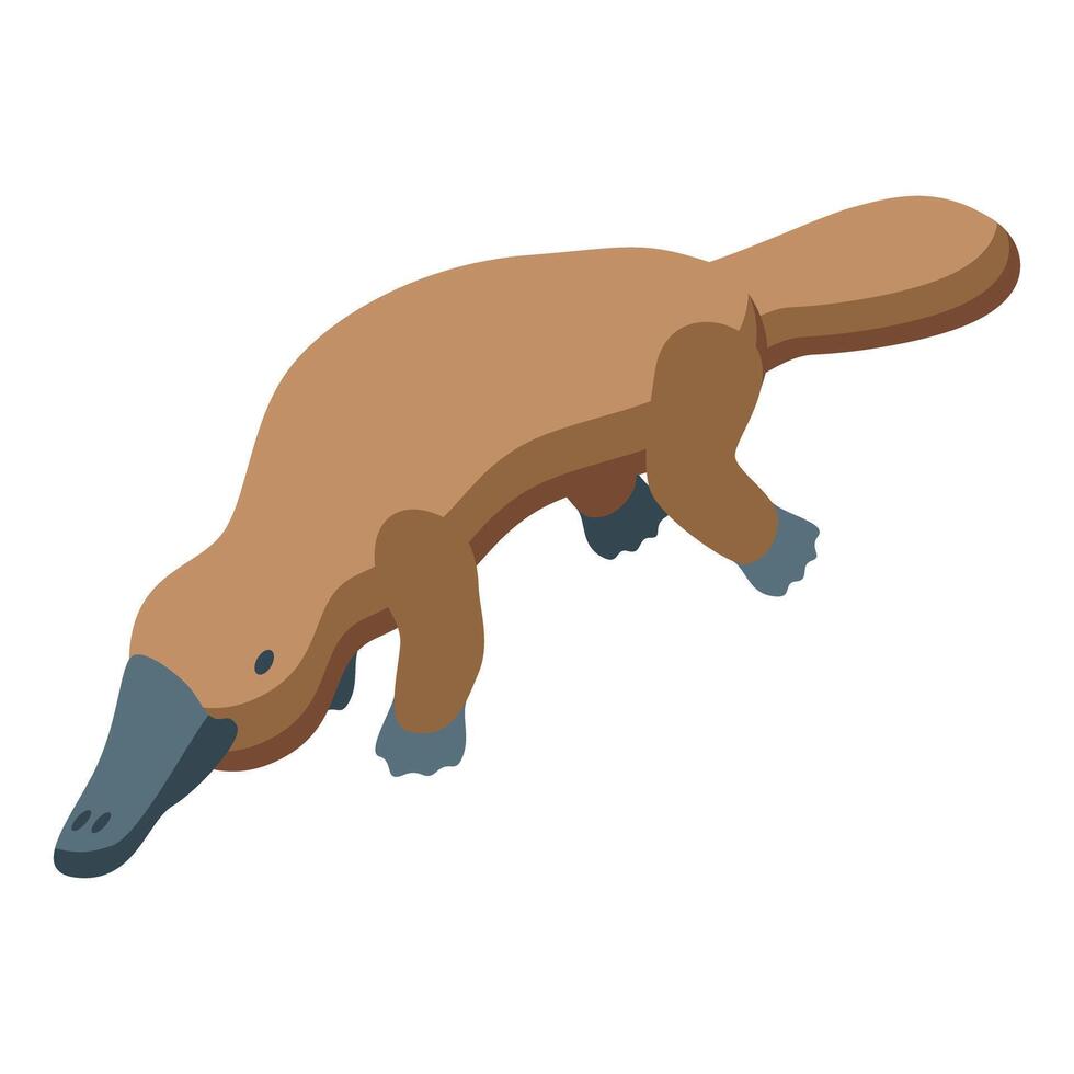 Platypus walking and searching for food in isometric view vector