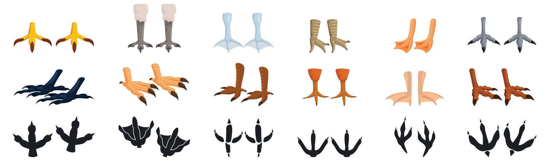Bird feet icons set. Different types of bird feet and their footprints showing variety and adaptation vector