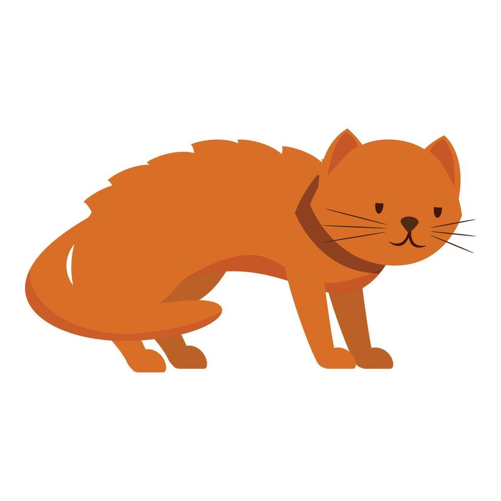 Ginger cat standing on white background, feline pet illustration vector