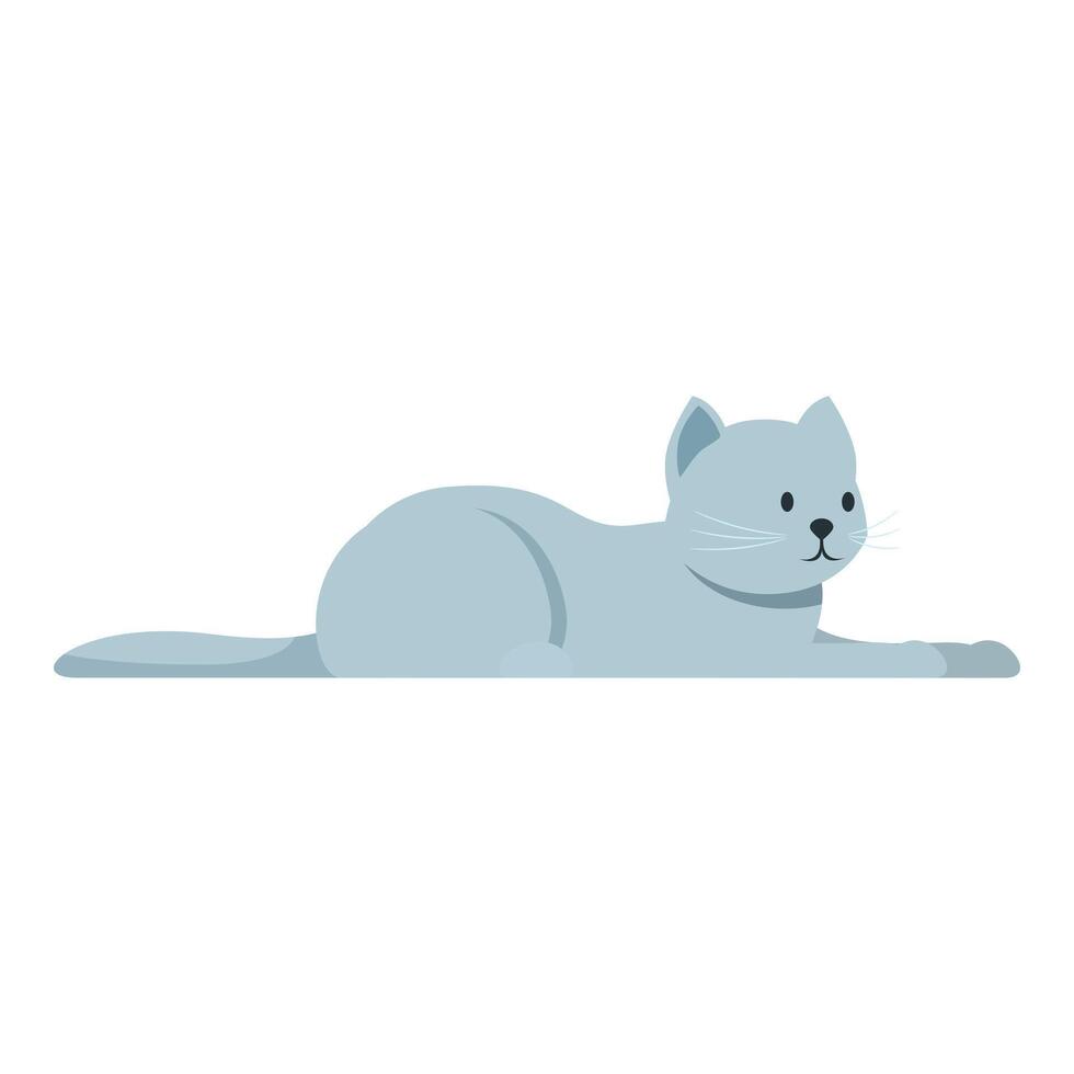 Grey british shorthair cat relaxing on floor vector