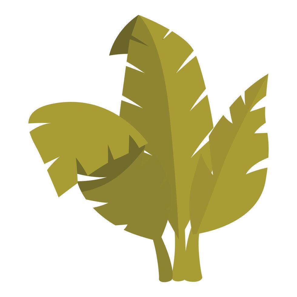 Tropical banana leaves growing together in jungle vector