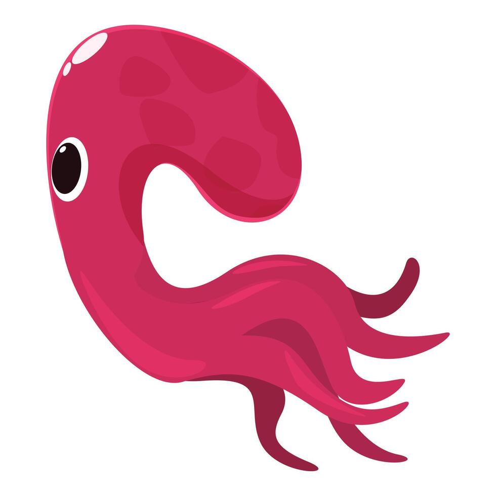 Pink squid swimming underwater with tentacles gracefully extended vector
