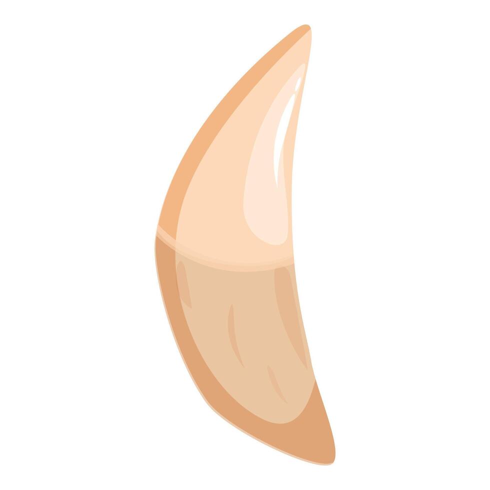 Single garlic clove showing its natural form and texture vector