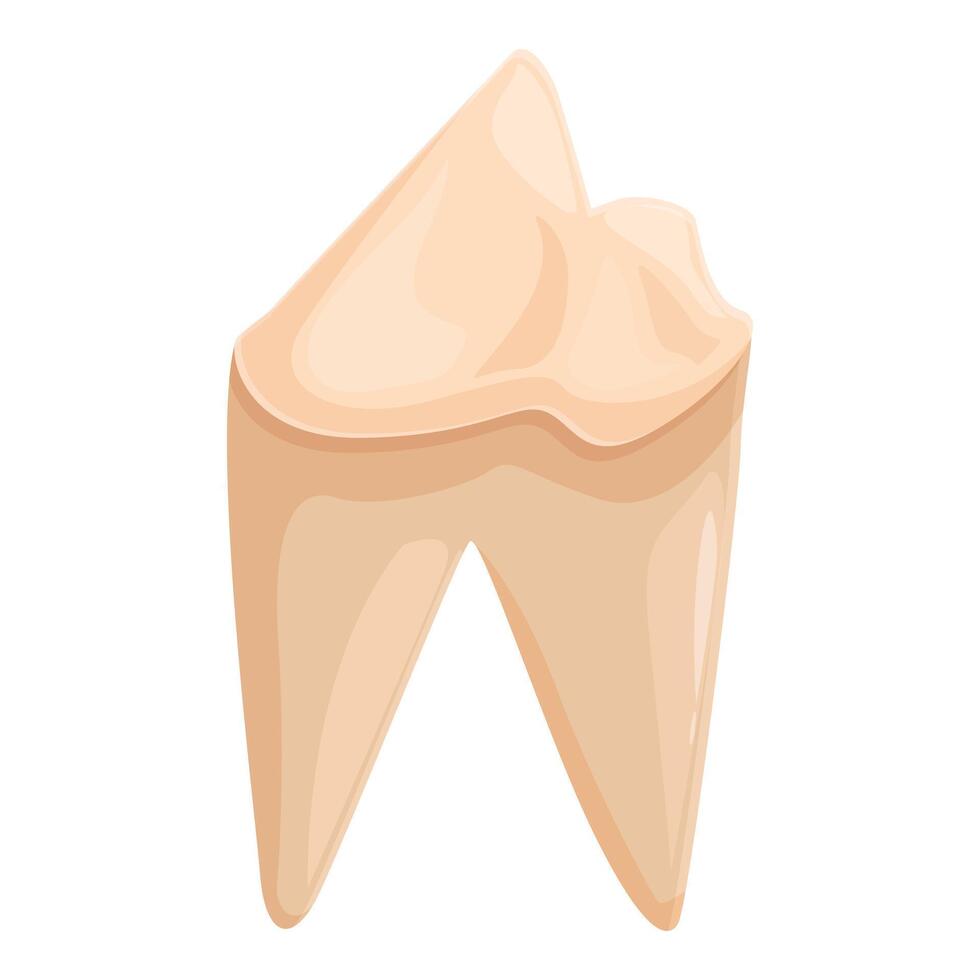 Carious premolar tooth showing dentin and enamel erosion vector