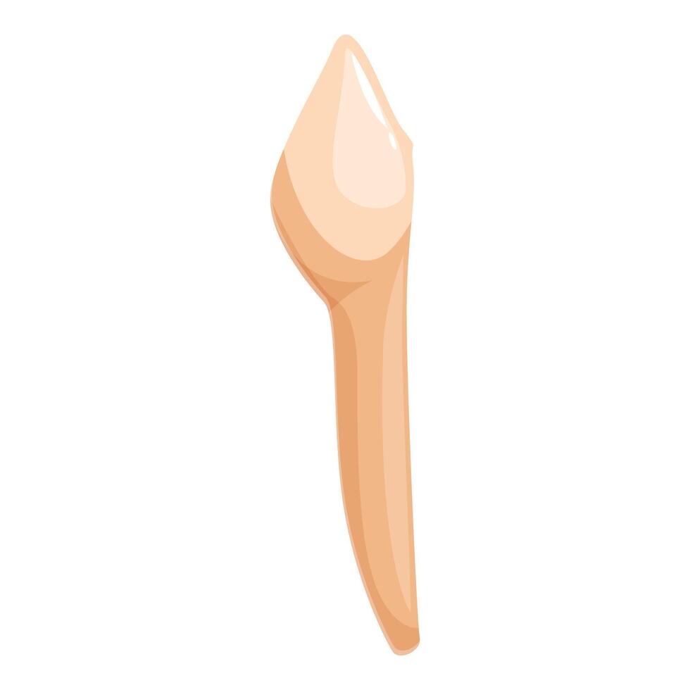 Canine tooth showing enamel, dentin, and pulp, dental anatomy illustration vector