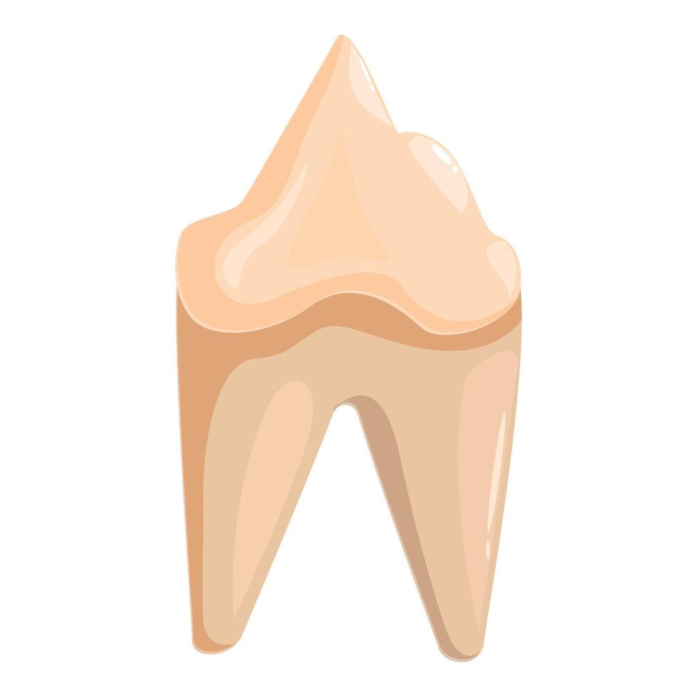 Healthy molar maintaining perfect oral hygiene representing dental health vector