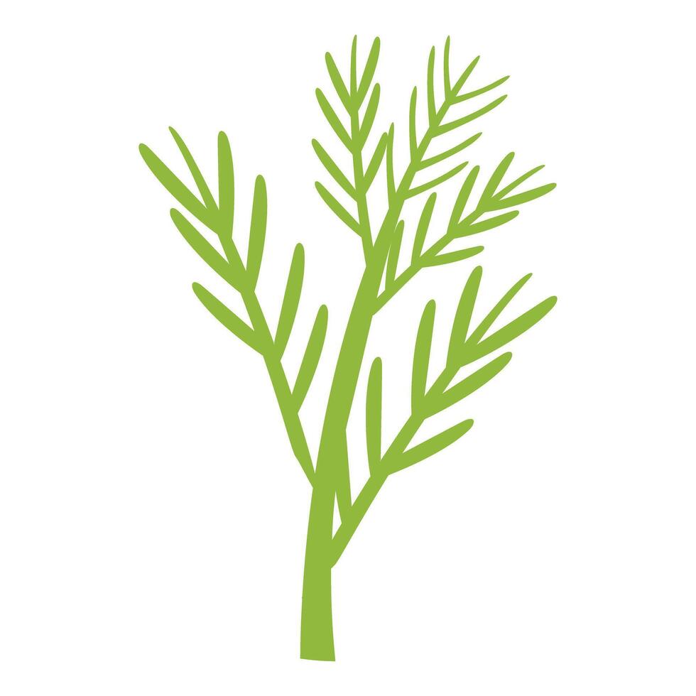 Fresh green dill sprig representing healthy eating and flavor enhancement vector