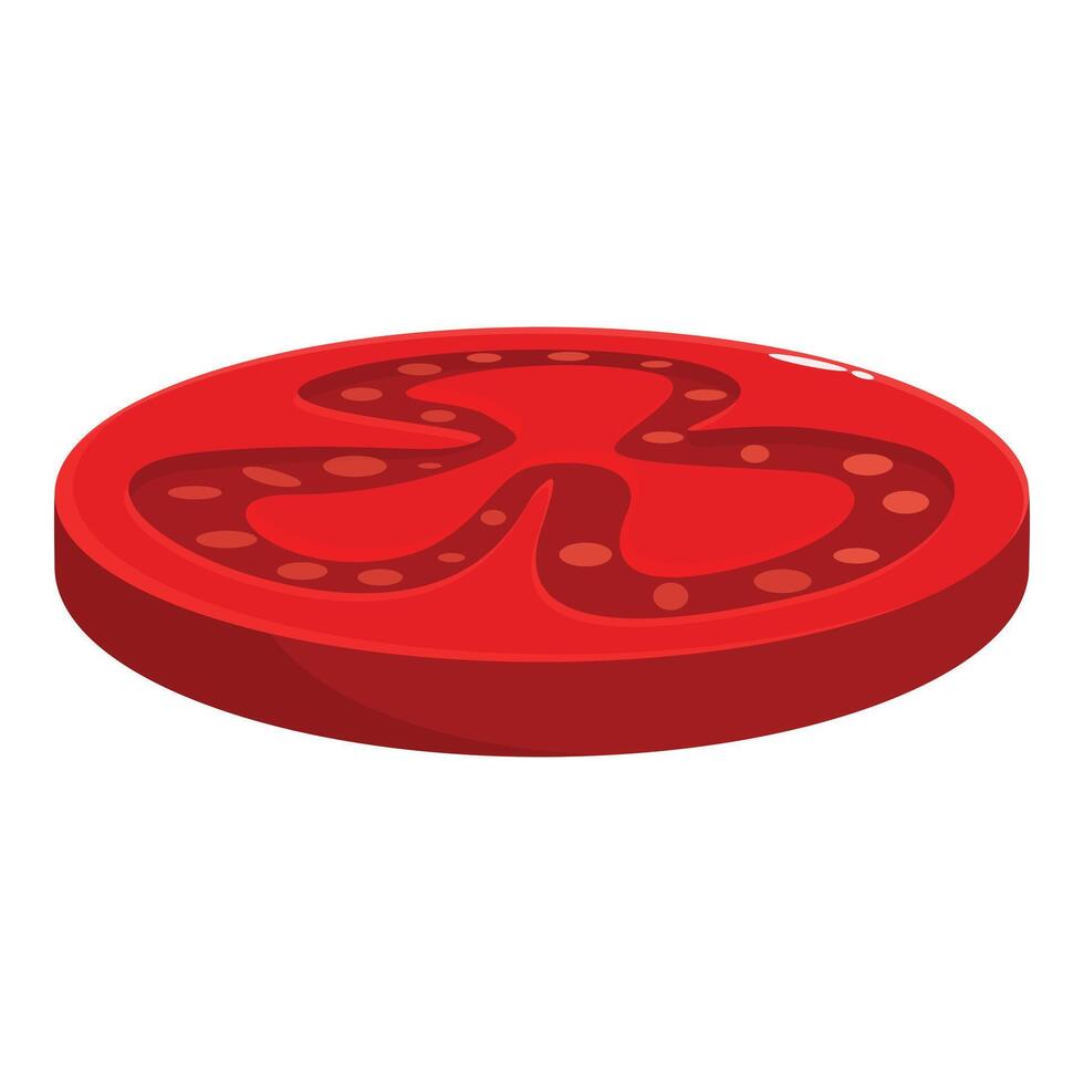 Fresh red tomato slice showing seeds and pulp vector