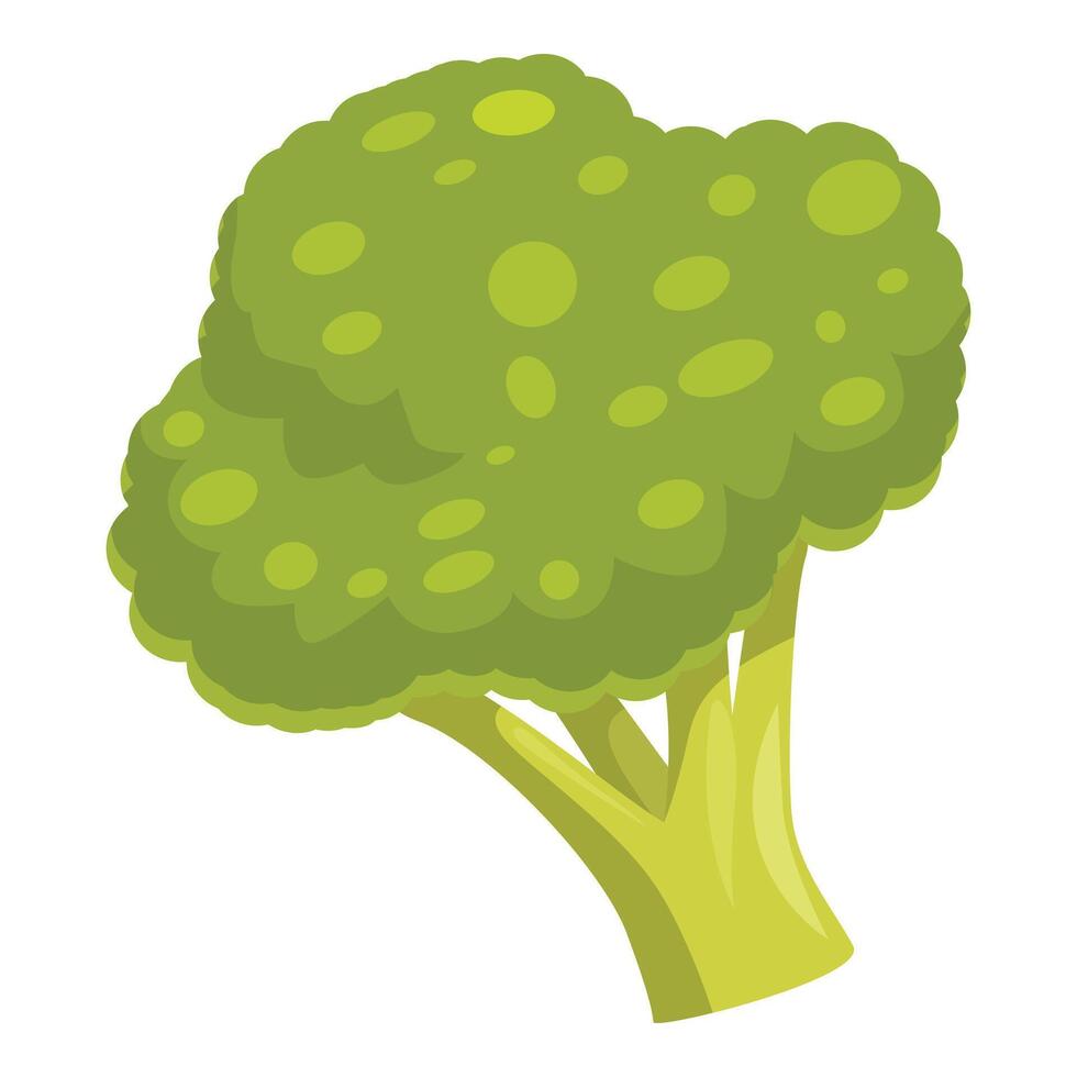 Fresh green broccoli floret showing healthy eating and vibrant green color vector
