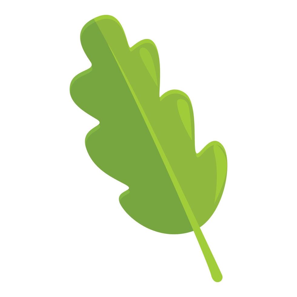 Green oak leaf representing nature and growth vector