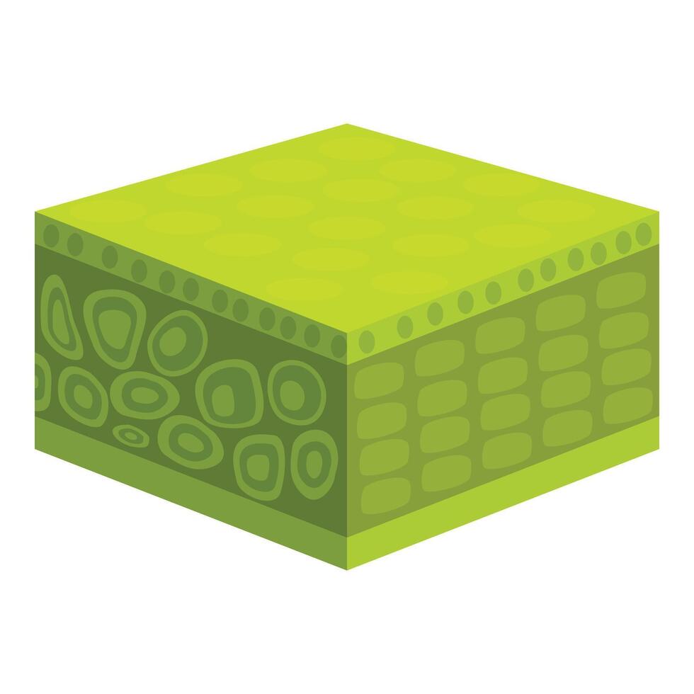 Exploring plant cells, a detailed cross section showing epidermis, palisade, and spongy mesophyll layers vector