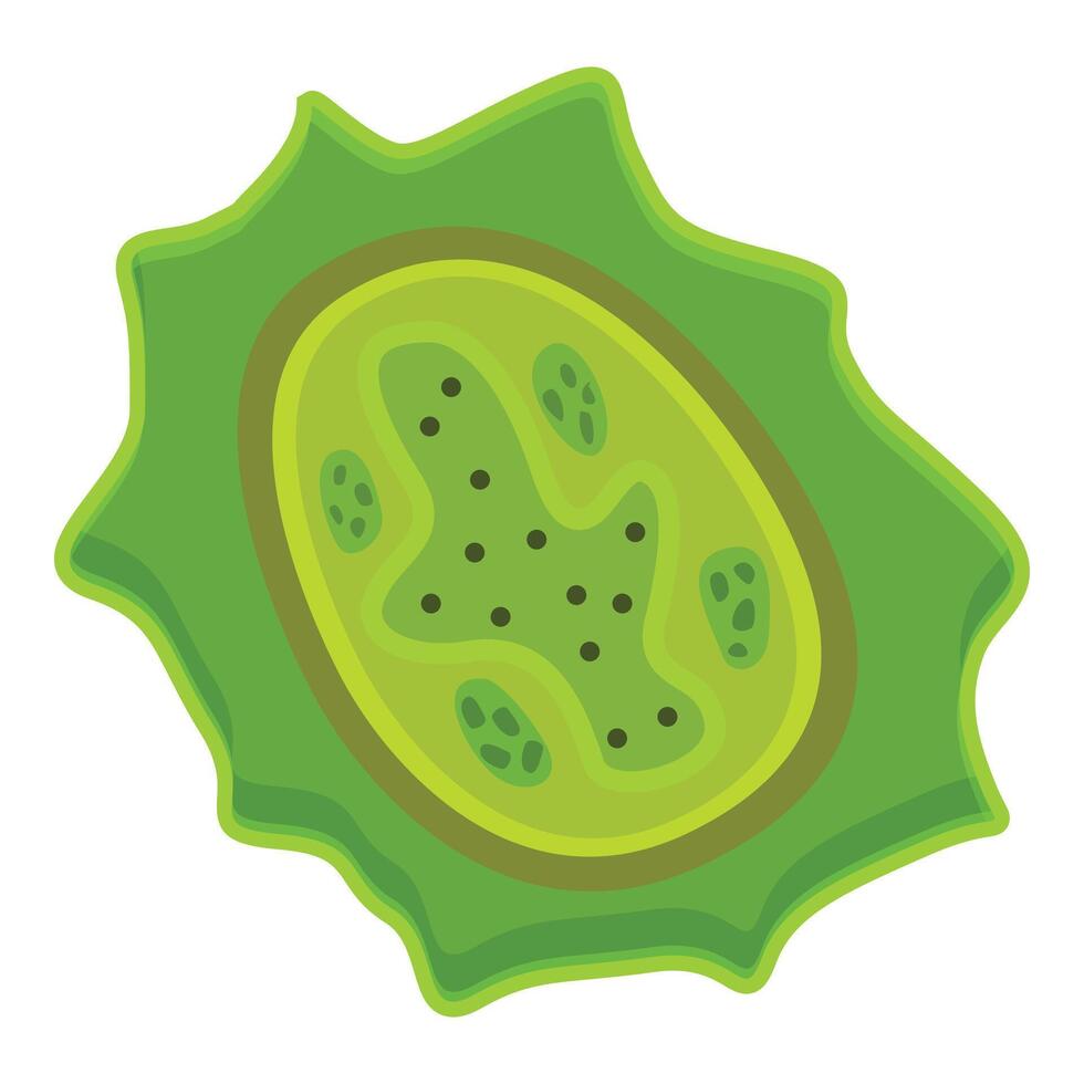 Green virus cell spreading showing nucleus and cytoplasm vector