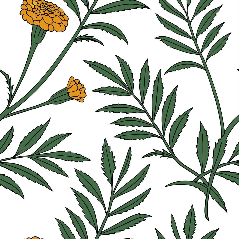 Botanical Garden Marigold Seamless Tile Pattern Various Marigold Species in Natural Oranges on White Background for Serene Spaces Perfect Photo Stock Concept with Left Space vector