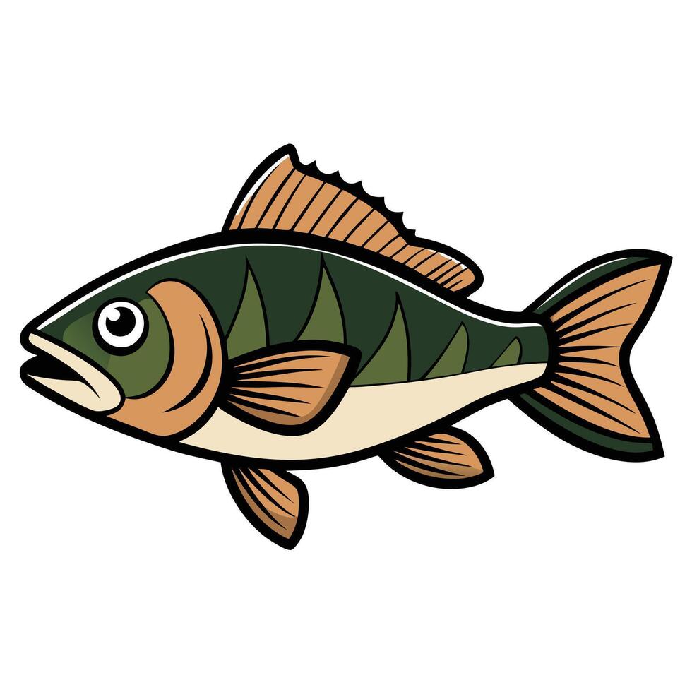 Perch Fish Digital Drawing vector