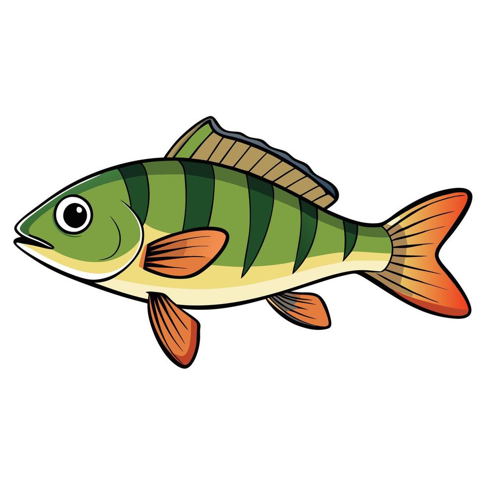 Flat Design Perch Fish Art vector