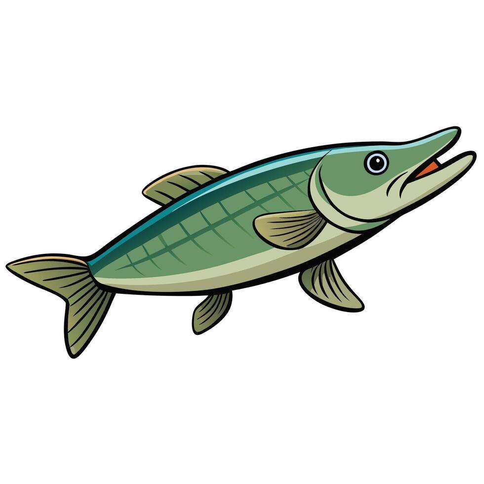 Pike Fish Outline for Web Graphics design white background vector