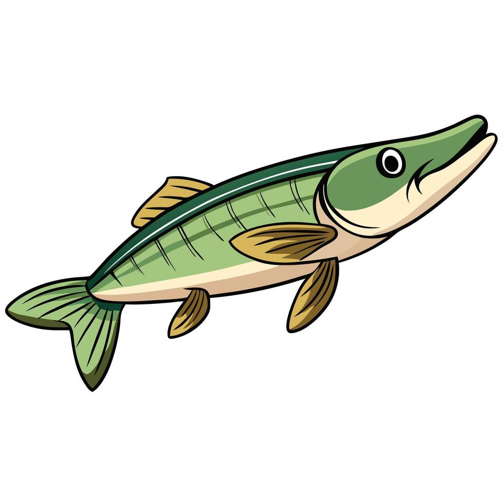 Pike Fish Digital Drawing vector