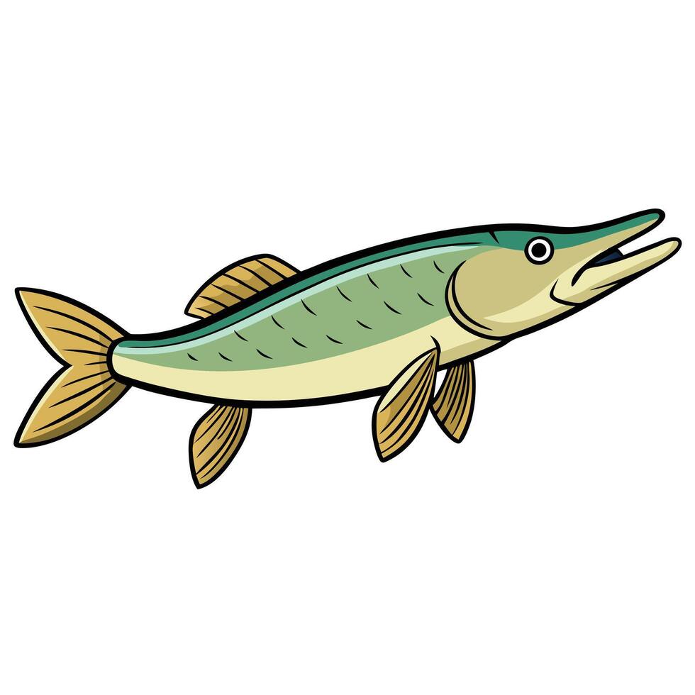 Realistic Pike Fish Illustration vector
