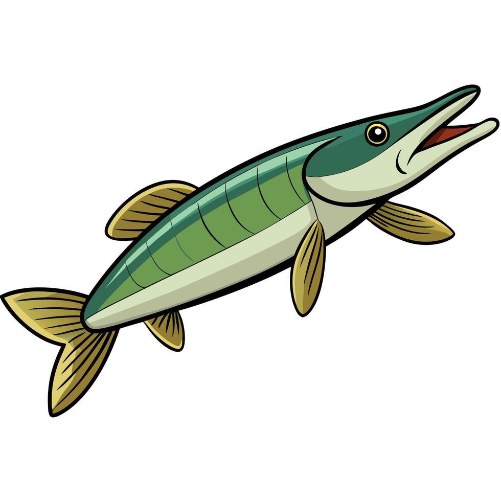 Detailed Pike Fish Graphic vector