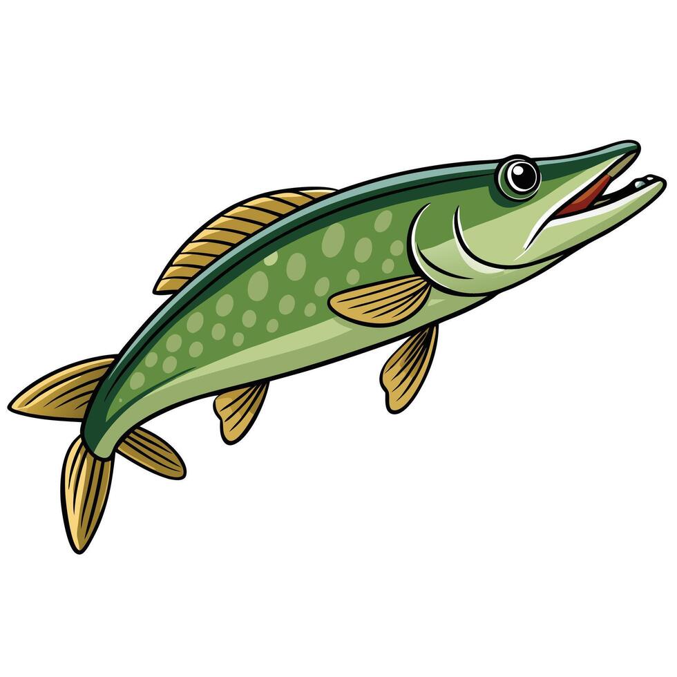 Pike Fish Illustration vector