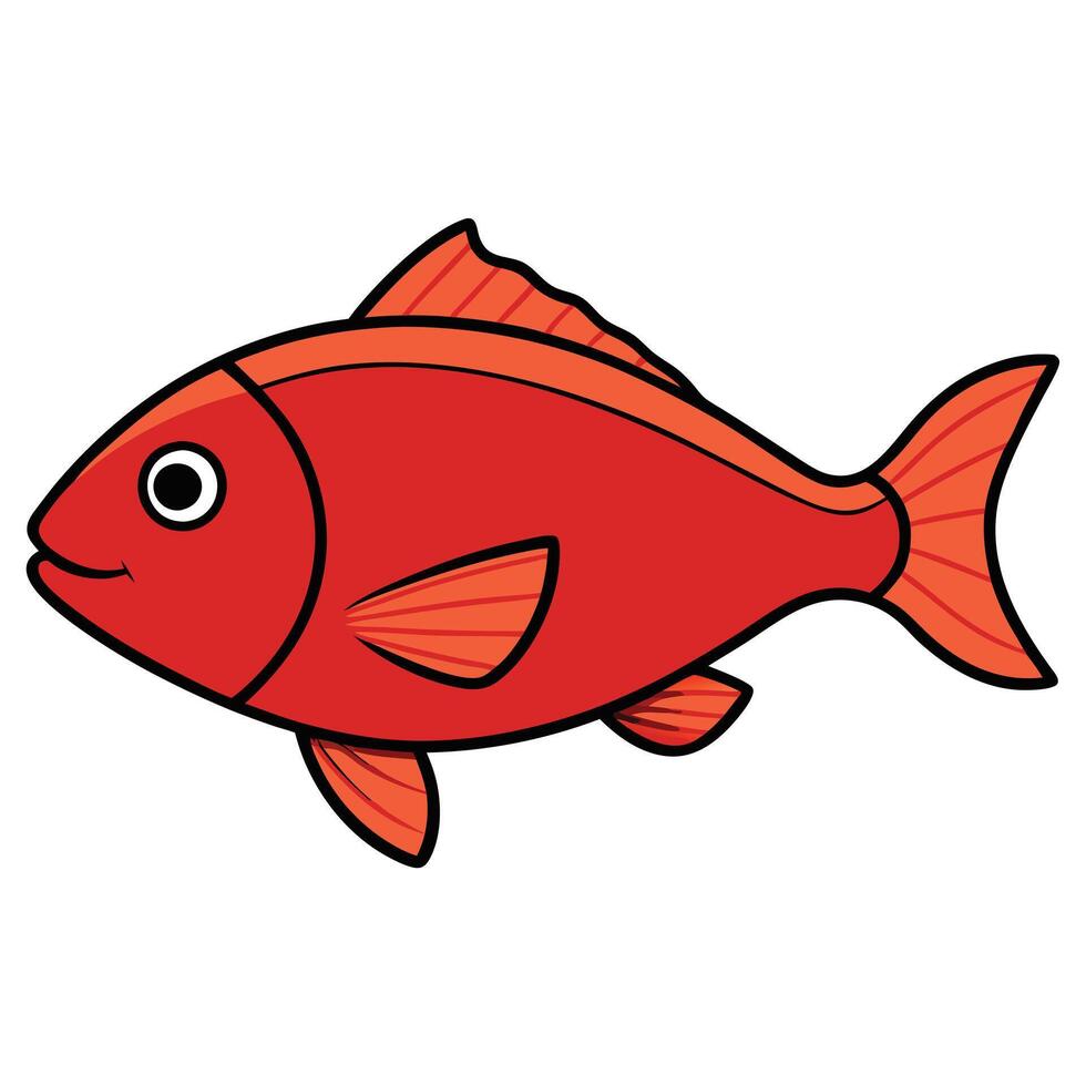 Hand-Drawn Red Snapper Fish vector