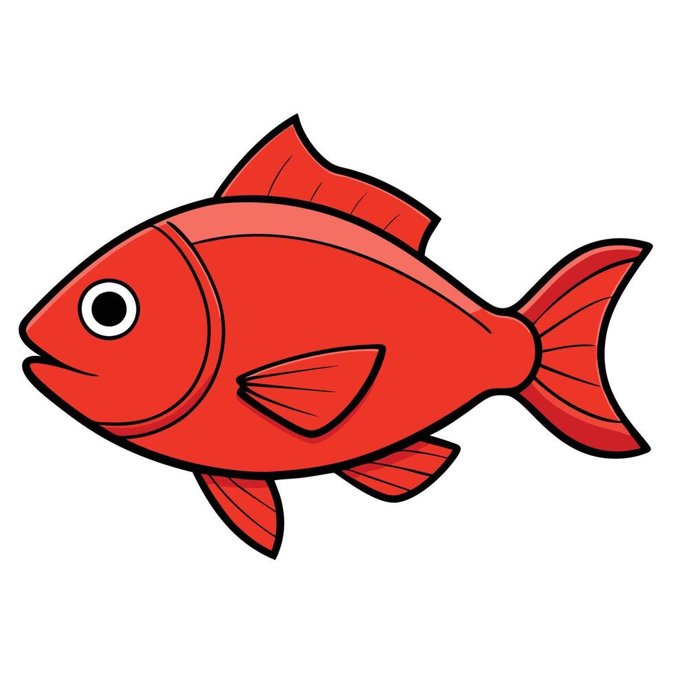 Red Snapper Fish Illustration for Aquariums vector