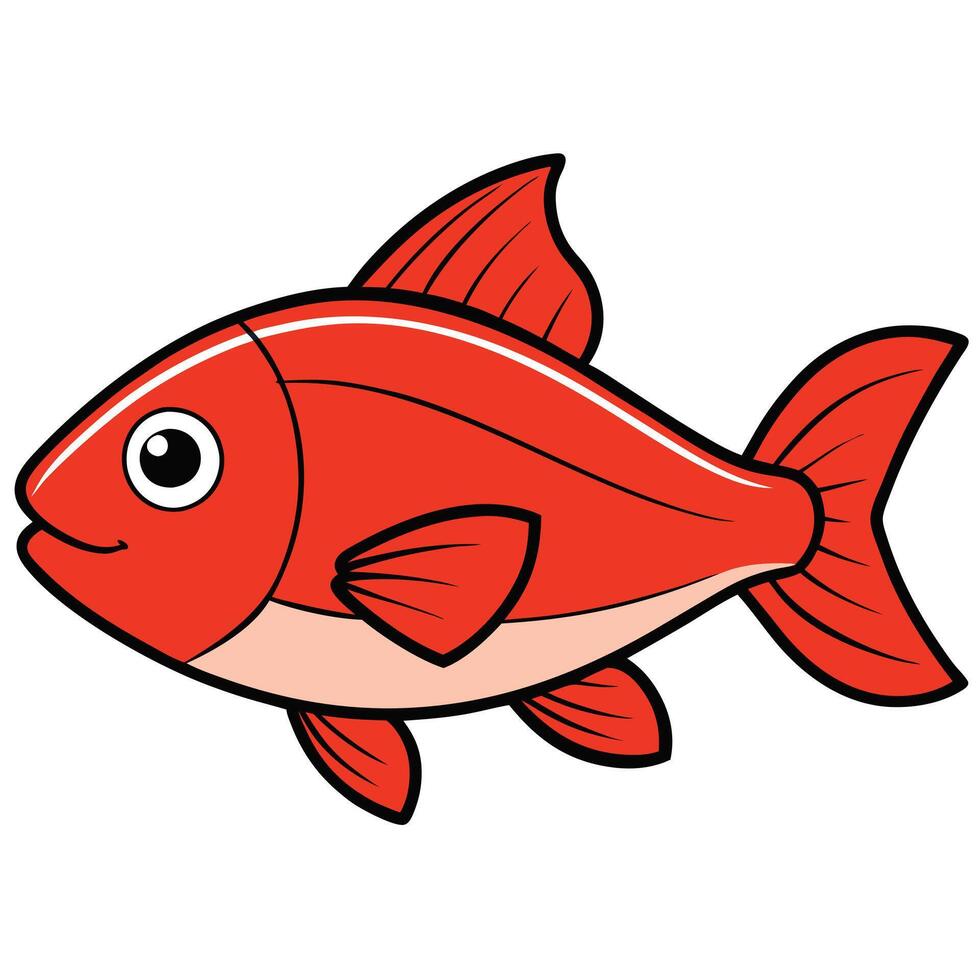 Fresh Red Snapper Seafood Illustration vector