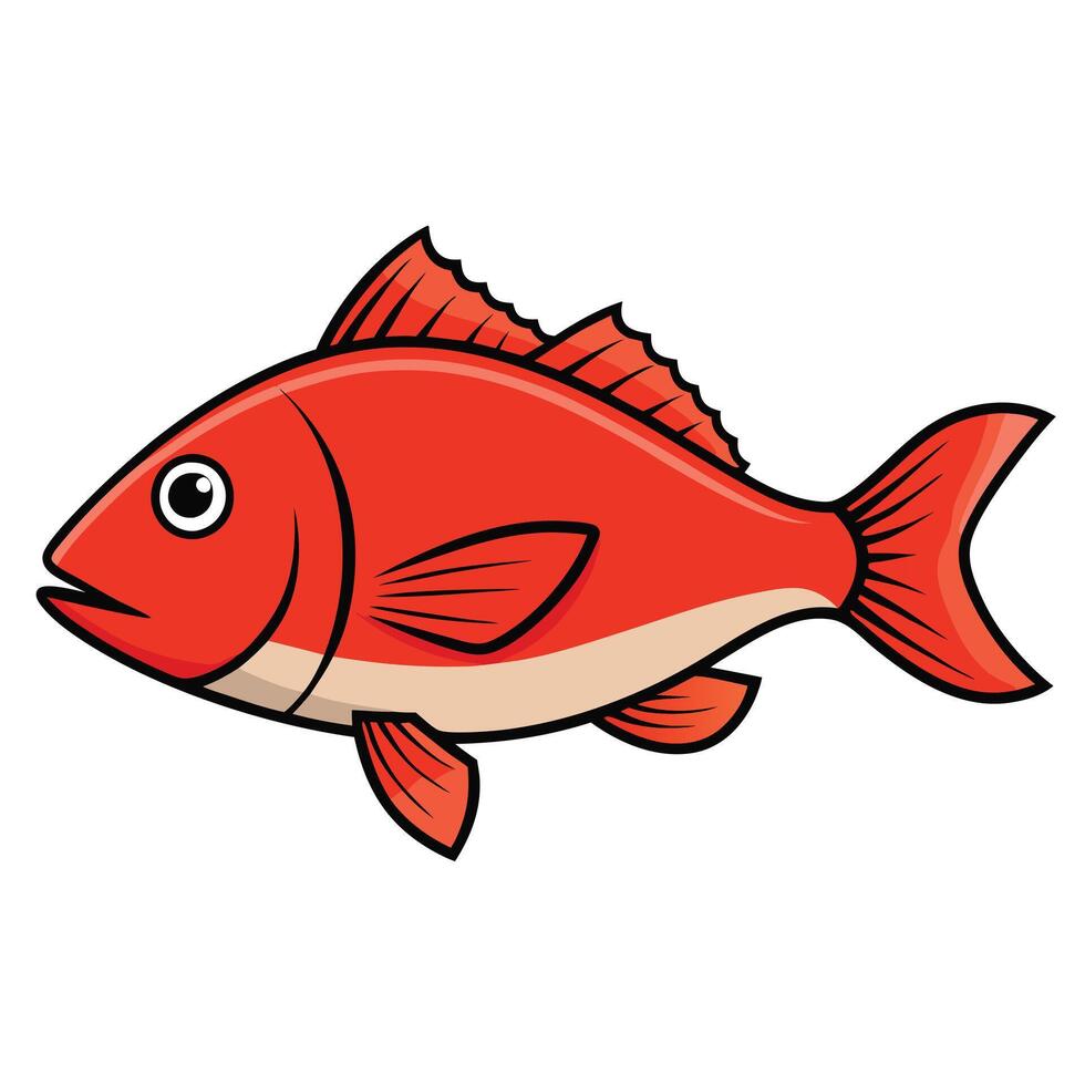 Red Snapper Fish in Cartoon Style vector