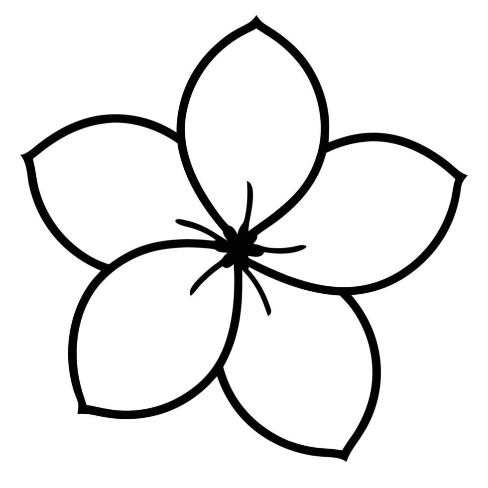 Cherry blossom flower with unique irregular petal shapes vector