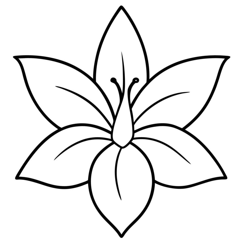 Symmetrical lily flower with clean artistic outline vector