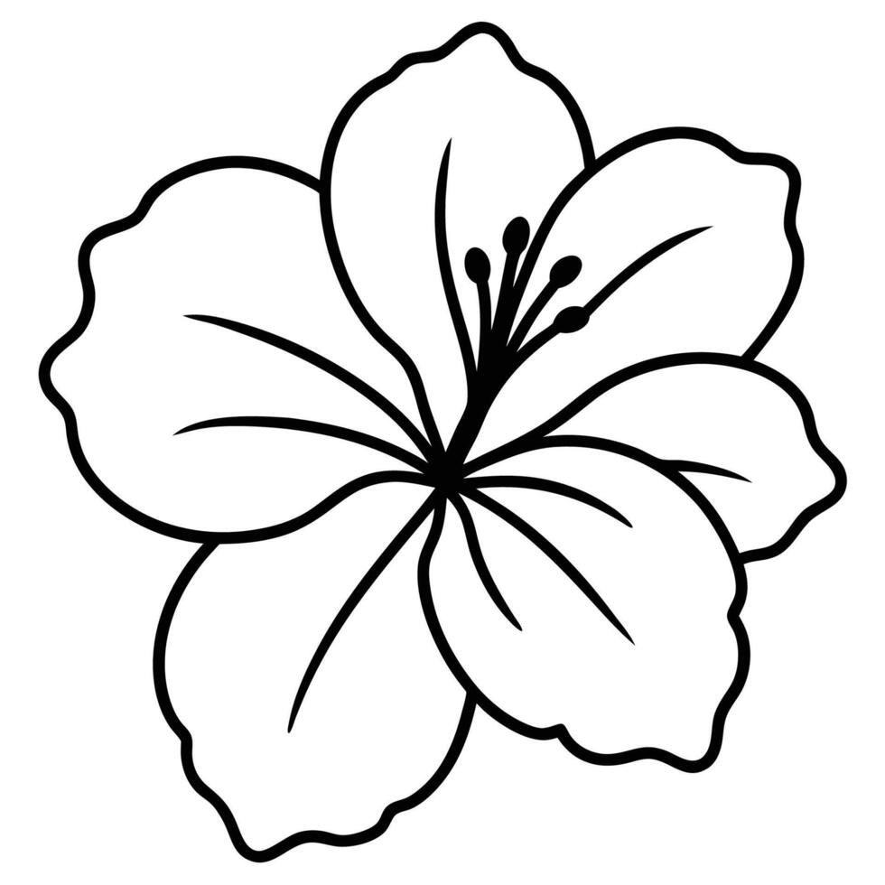 Hibiscus flower featuring detailed veins in its petals vector