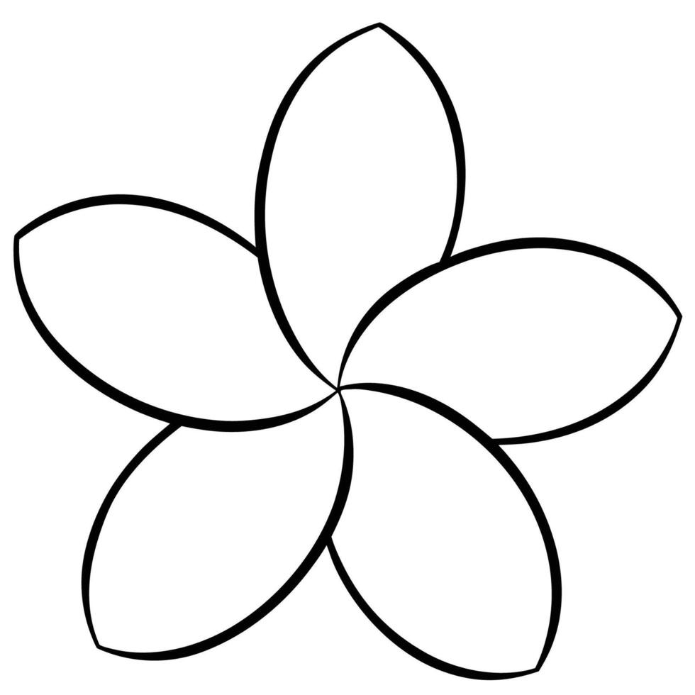 Plumeria flower with smooth circular petal lines and design vector