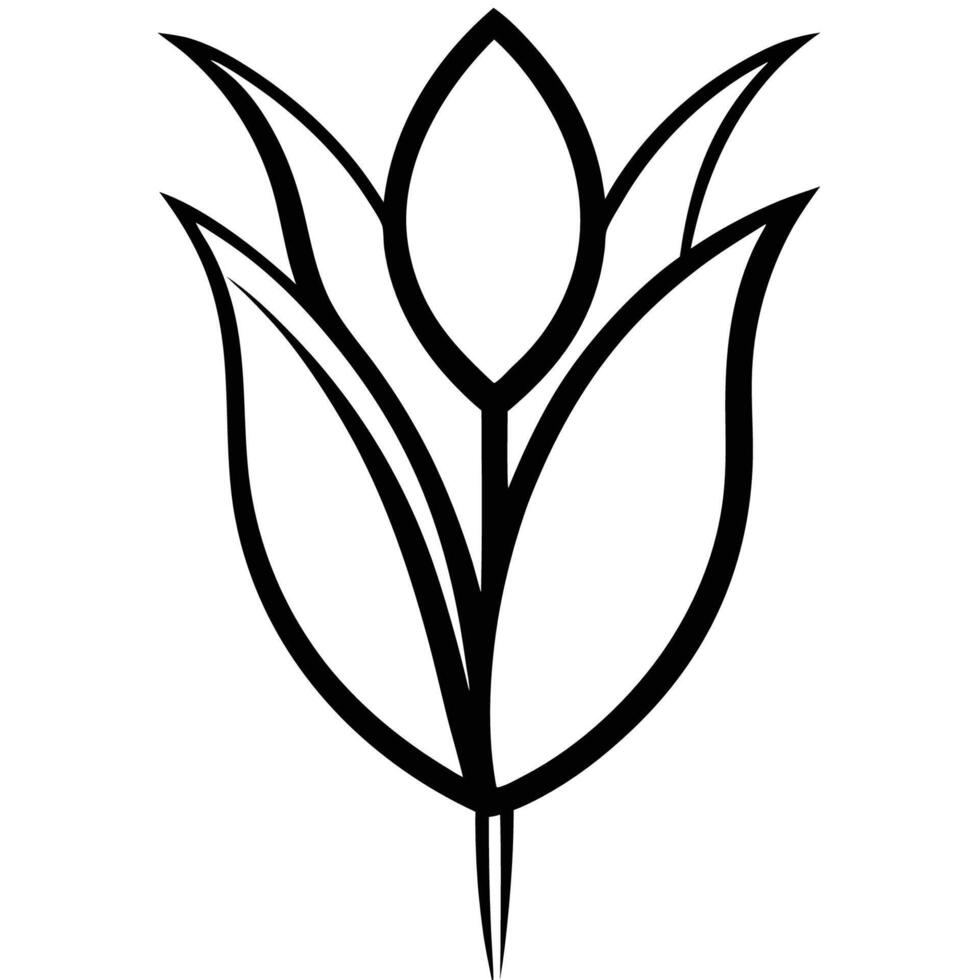Tulip with bold thick petal lines on white background vector