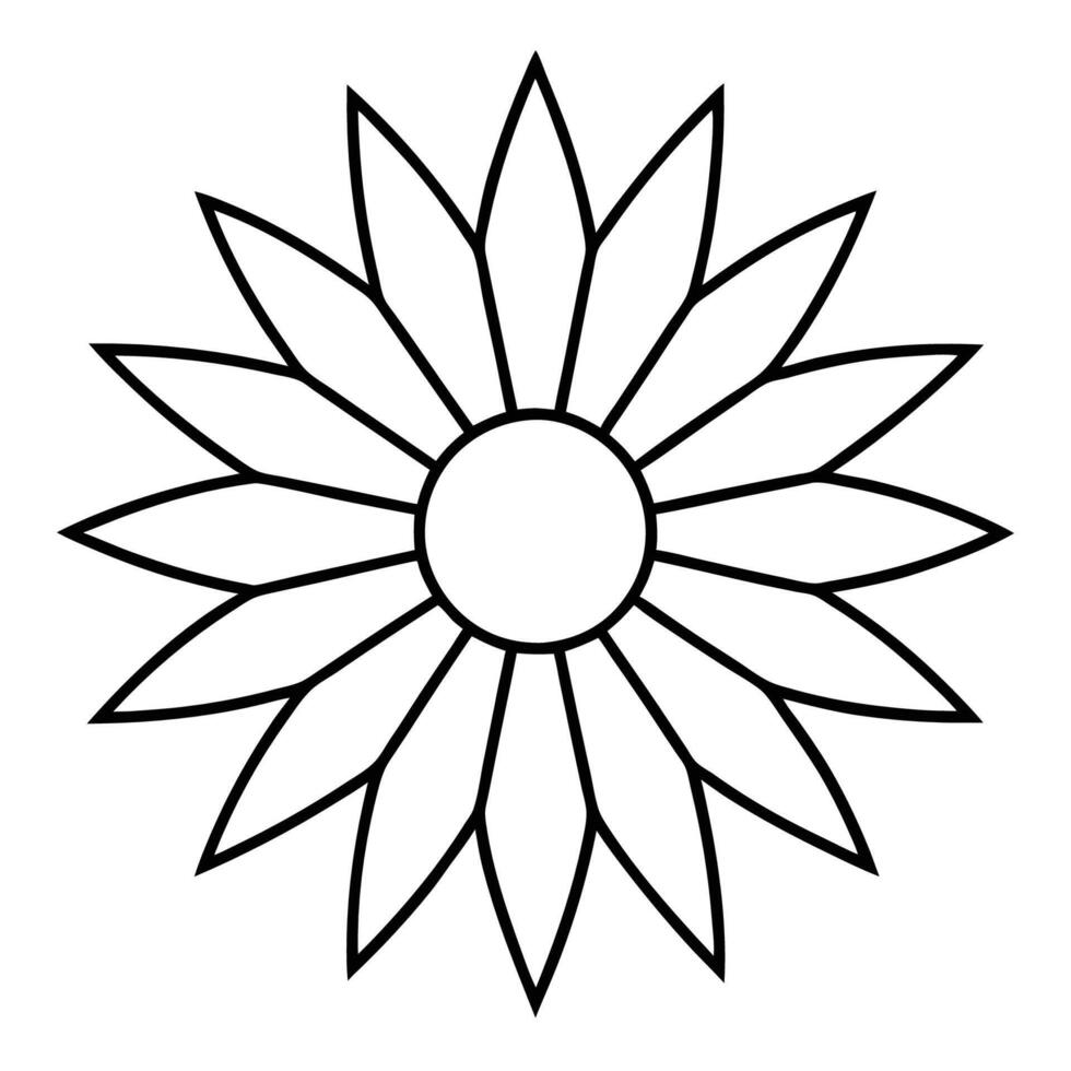 Sunflower showcasing radial petal patterns with clean outlines vector